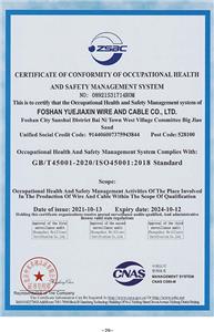Certificate Of Conformity Of Occupational Health And Safety Management System