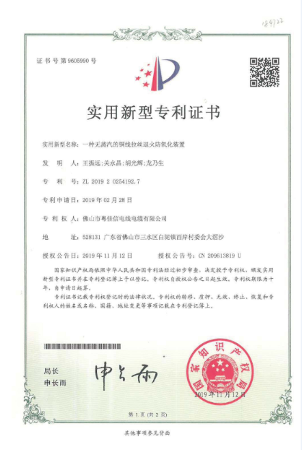 Certificate of Patent-3