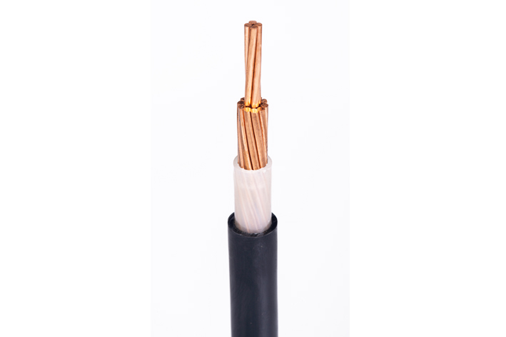 XLPE Insulated PVC sheathed Cable